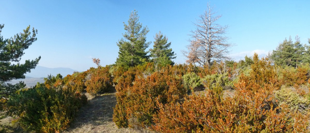 Landeta/Valdefuesako gainaldea