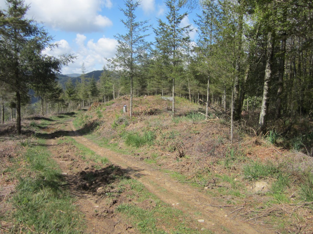 Dólmen Trikumuttegi Abril 2013