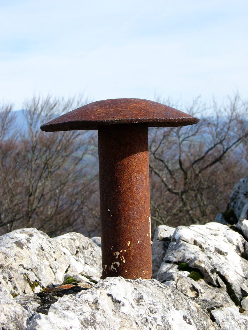 Illarrandi / Iruaundiko buzoia