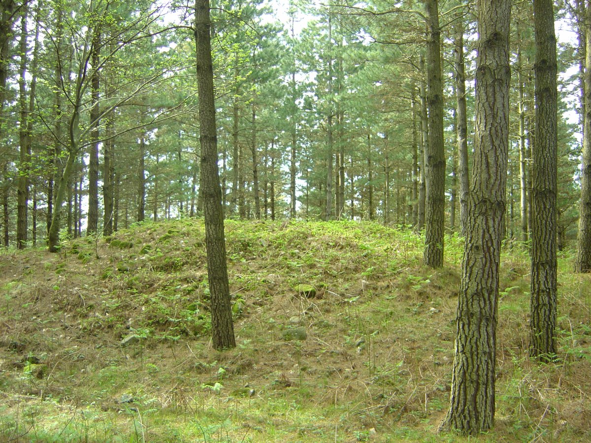 Dólmen Mejandi  (Mayo 2012)