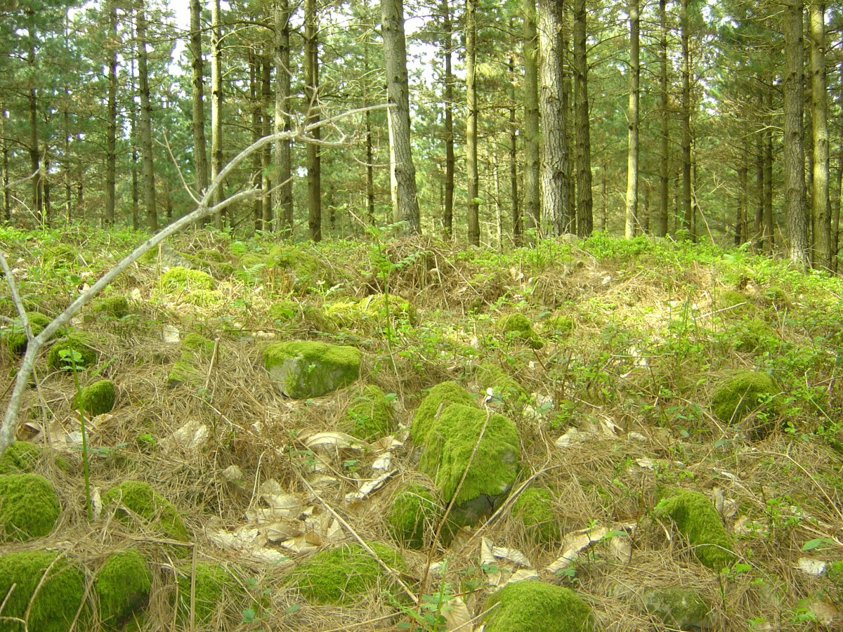 Dólmen Mejandi  (Mayo 2012)