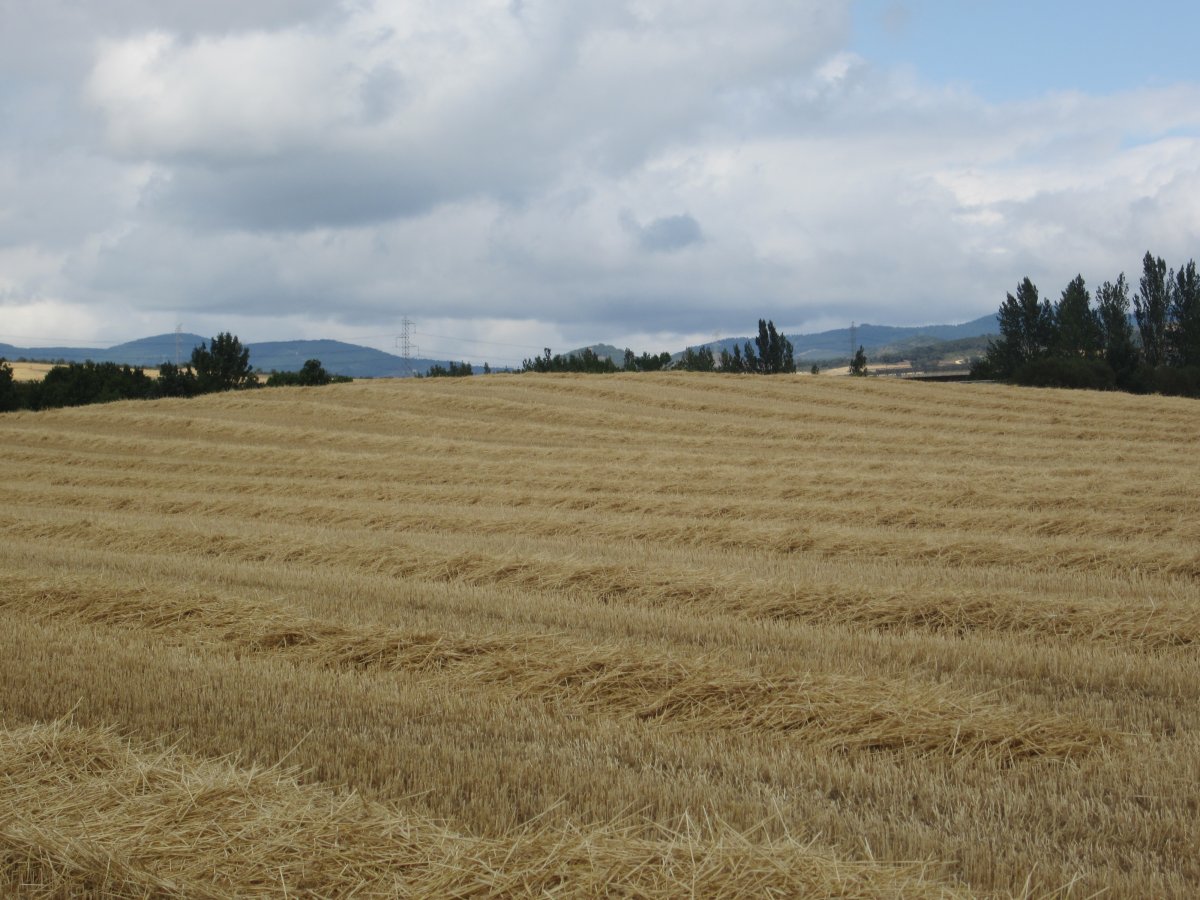 Túmulo Lakondoa   (Agosto 2012)