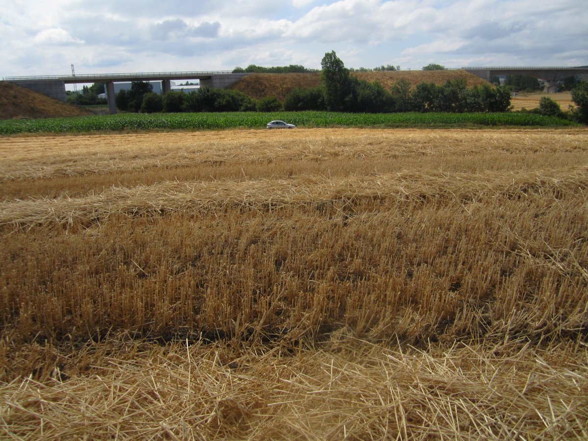 Túmulo Lakondoa   (Agosto 2012)