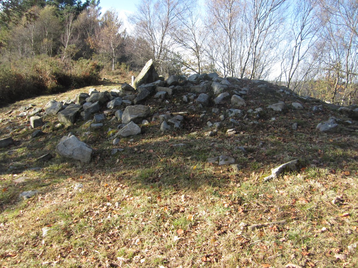 Dólmen Belkoain   (Junio 2012)