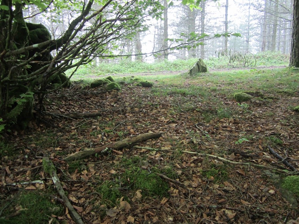 Dólmen Frantsesbaso (mayo 2013)