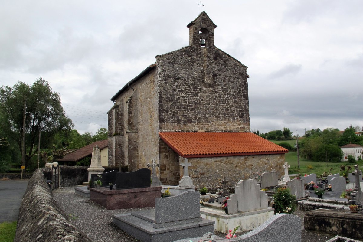 Asuncion eliza, Erango