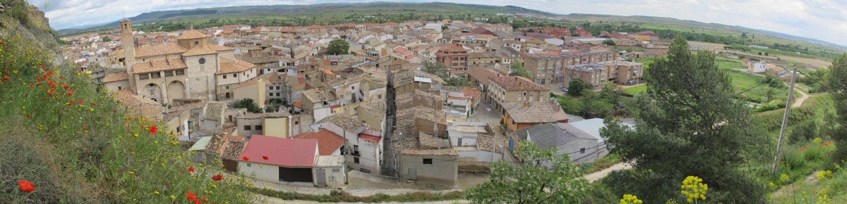 Faltzes Salbatore Basilikatik