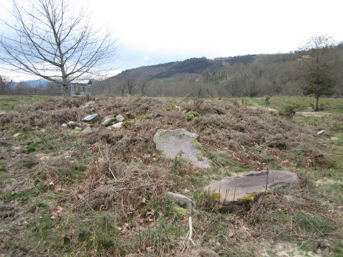Dólmen Landarbaso VI 03 -2013