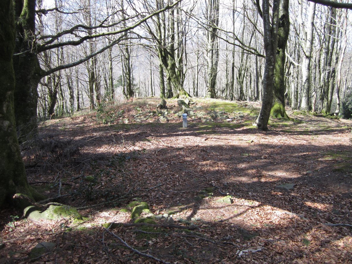 Dólmen Napalatza    03-2013