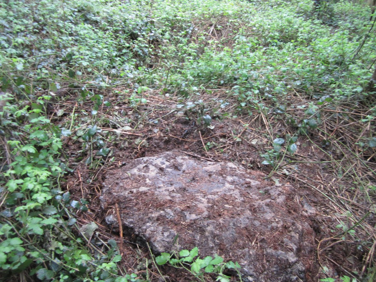 Túmulo Keixeta Mayo 2013