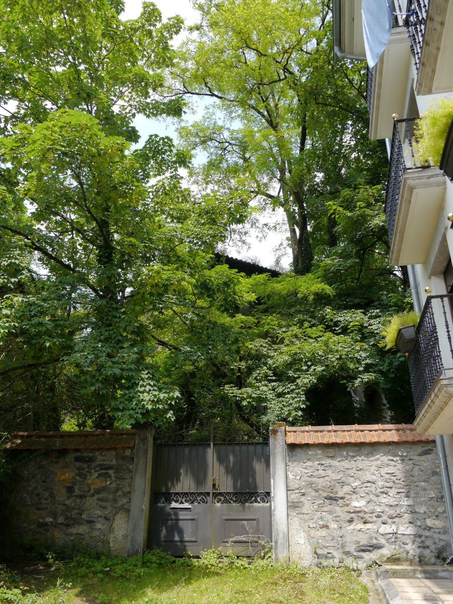 Ez da gauza handirik ikusten