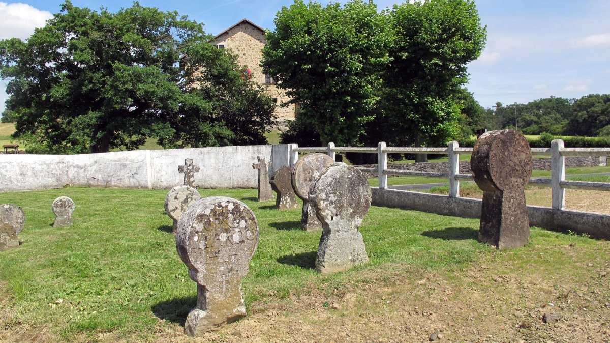 Ascension eliza, Gamue