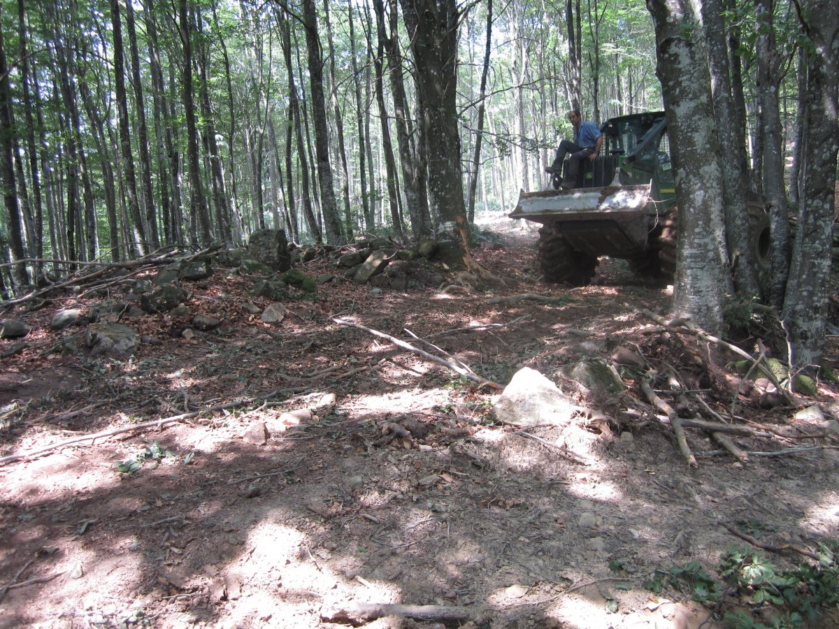 Dólmen Jentilzulo  (Julio  2013)