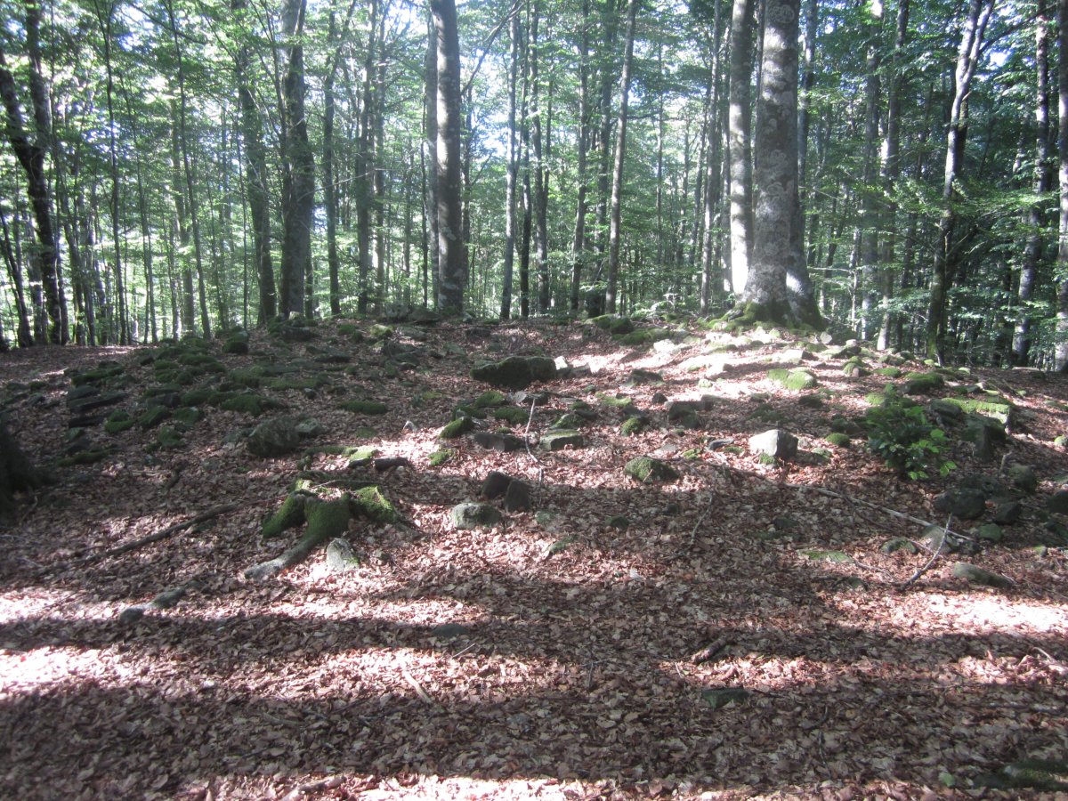 Dólmen Fagamendi  (Julio   2013)