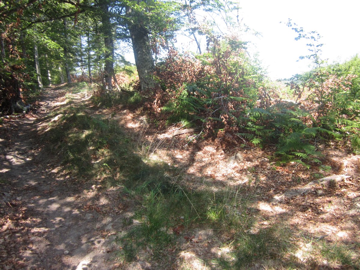 Túmulo Maizegur (Julio 2013)