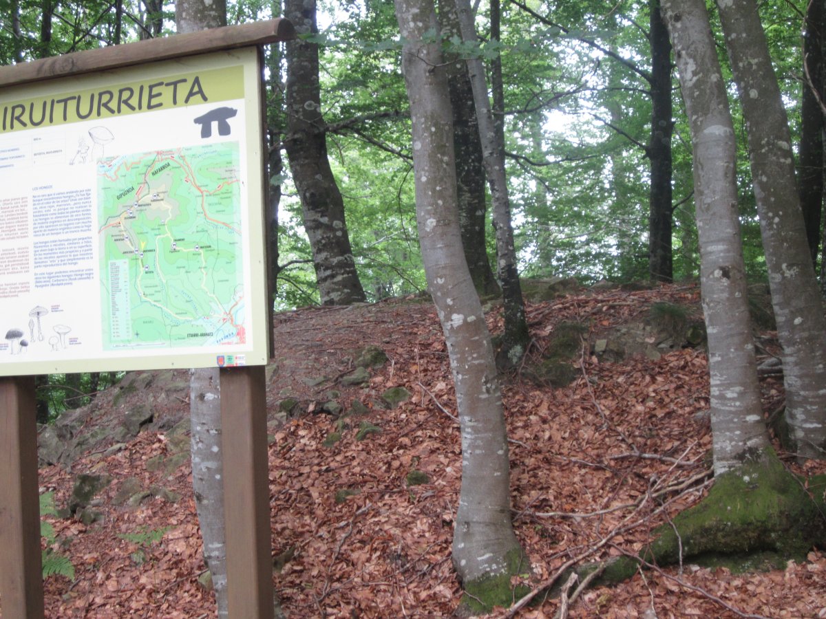 Dólmen Iruiturrieta (Julio 2013)