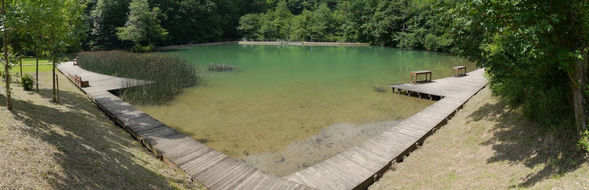 Zentraleko putzua, Zaldibia