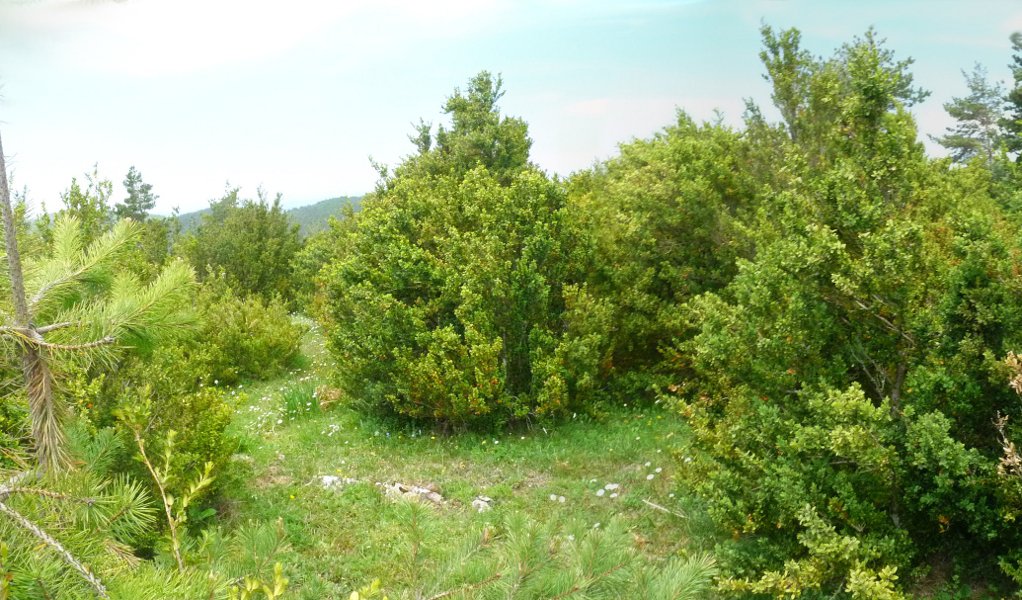 Jaun Done Mikeleko gialurra