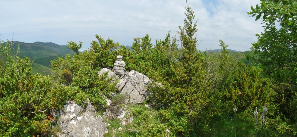 Mendibeltzeko gailurra