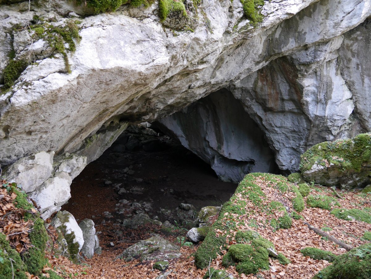 Otsoita koba, Aralar