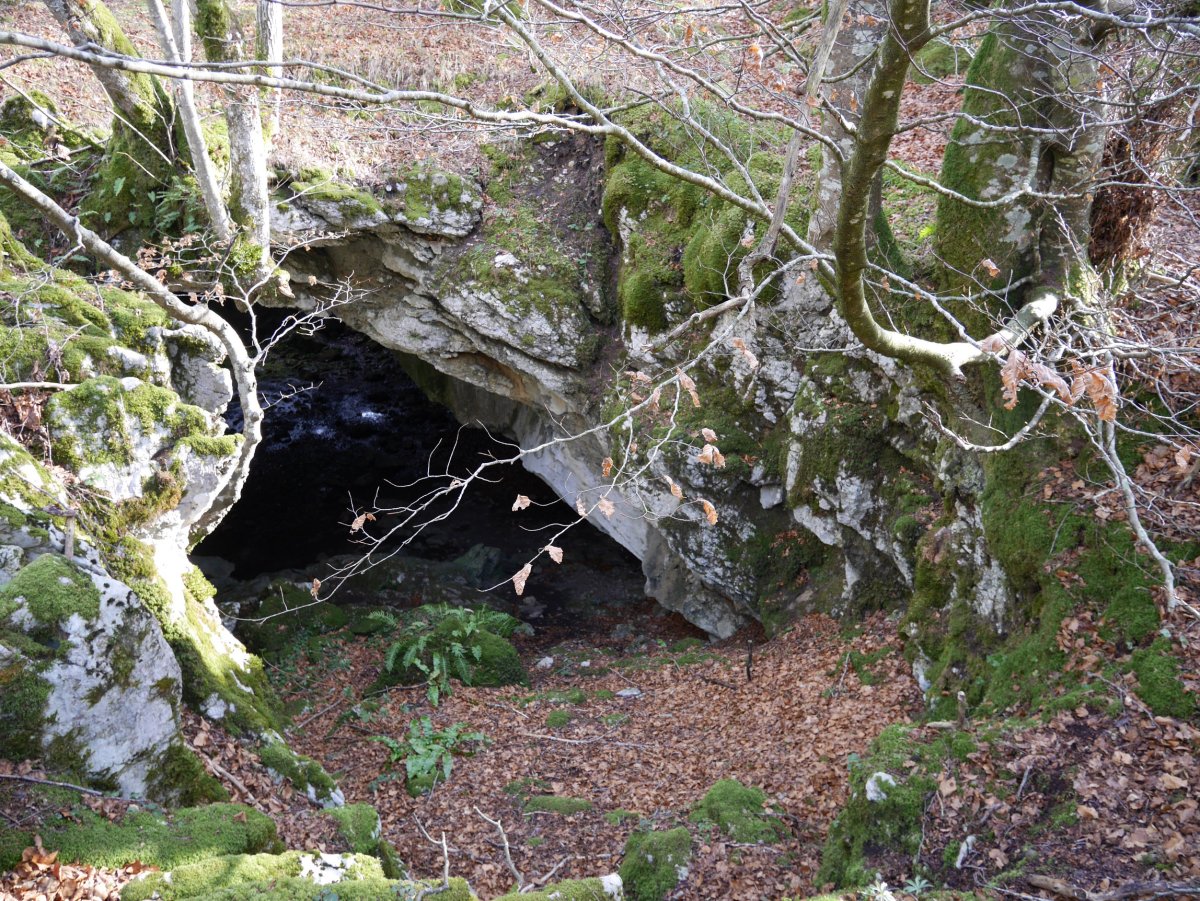 Otsoita koba, sarrera txikia, Aralar