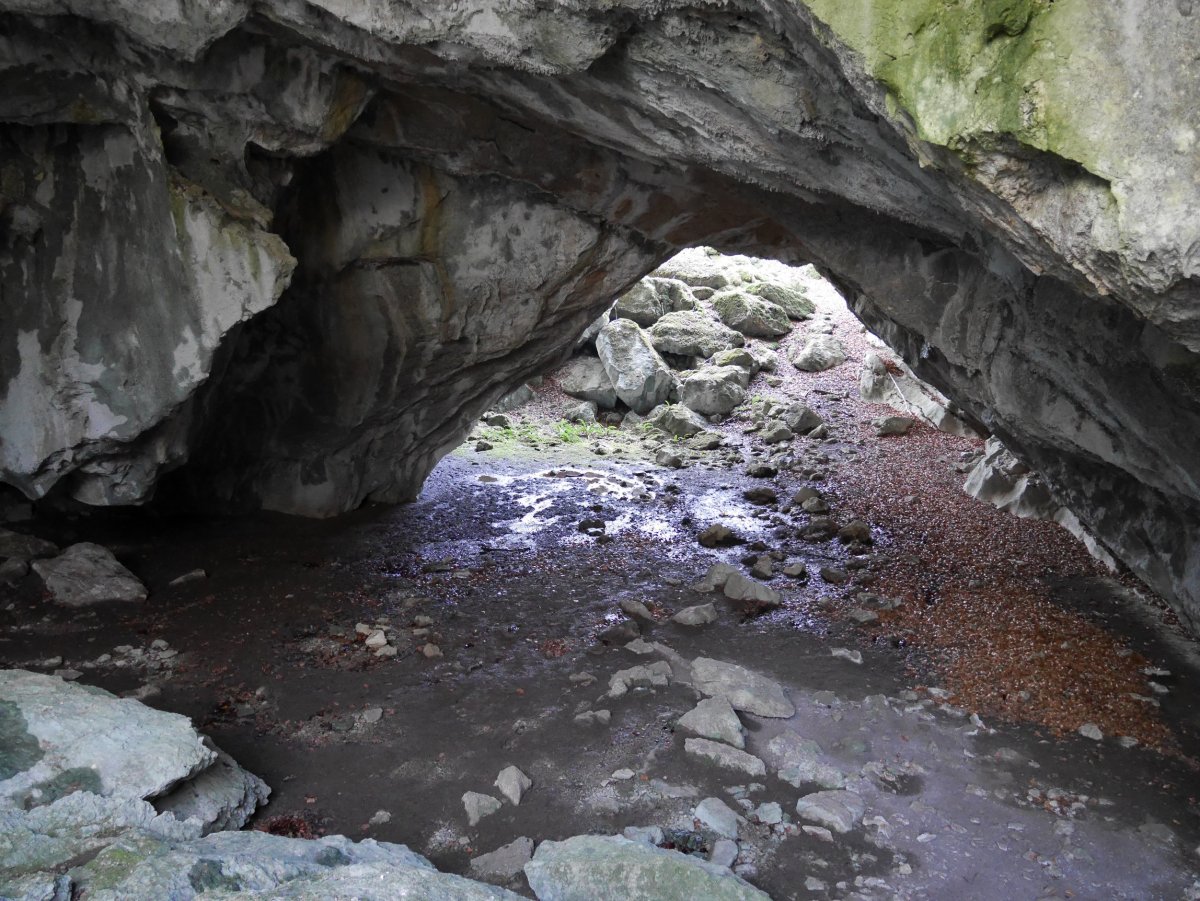 Otsoita koba, Aralar