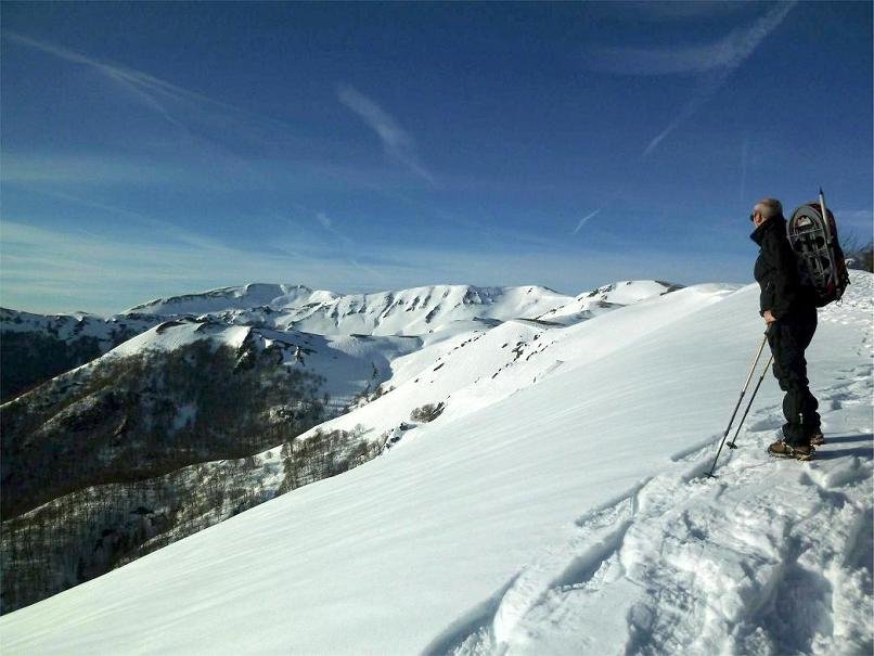Bizkarze, Odeizugaina, Organbideskatik