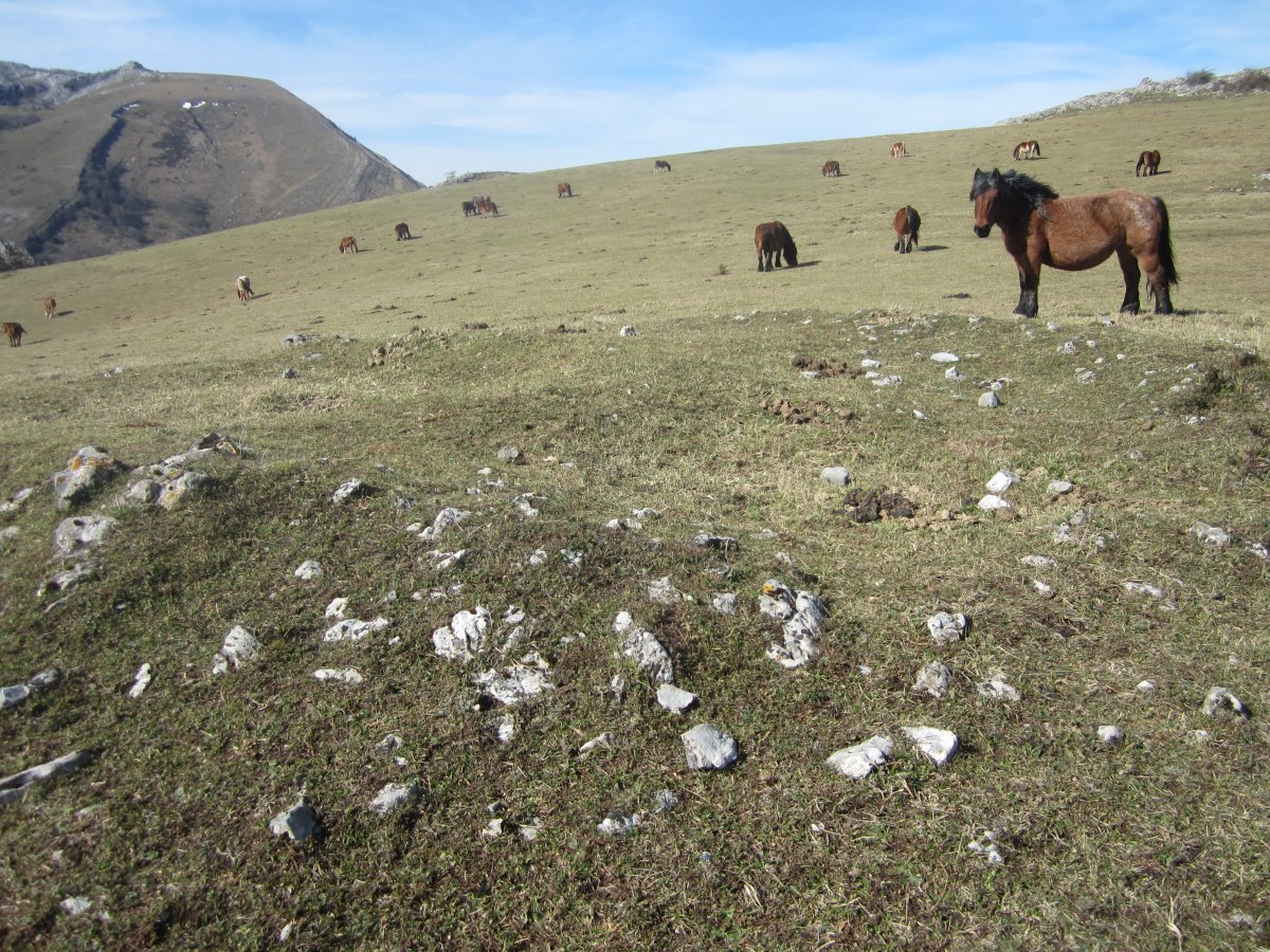 Túmulo Urtao  (Febrero 2014)