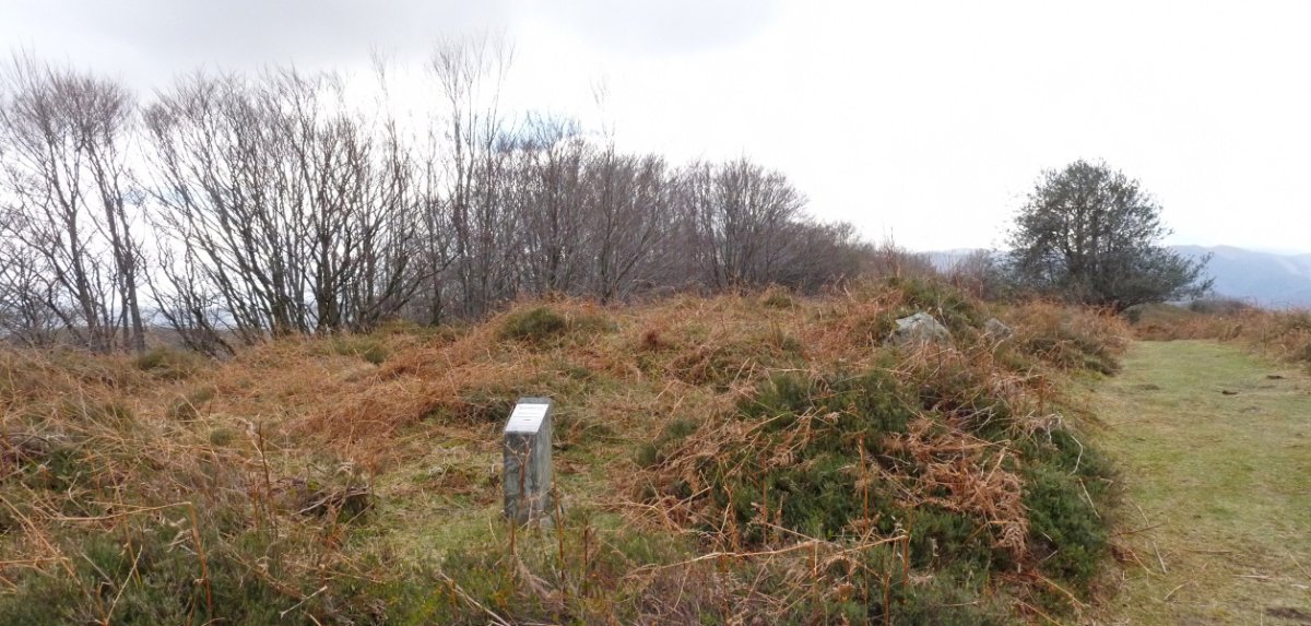 Utsa edo Elutsako tumulua