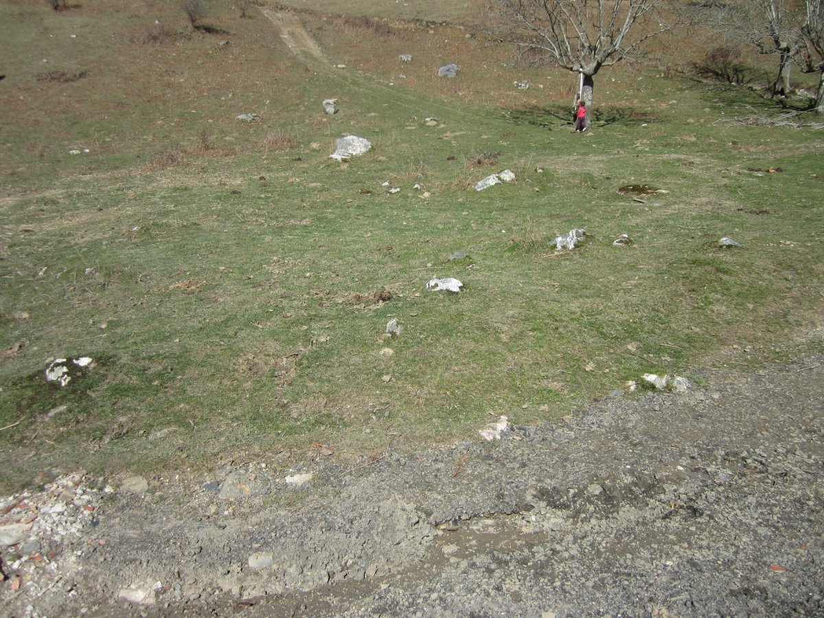 Cromlech Añoenea  ( Marzo 2014)