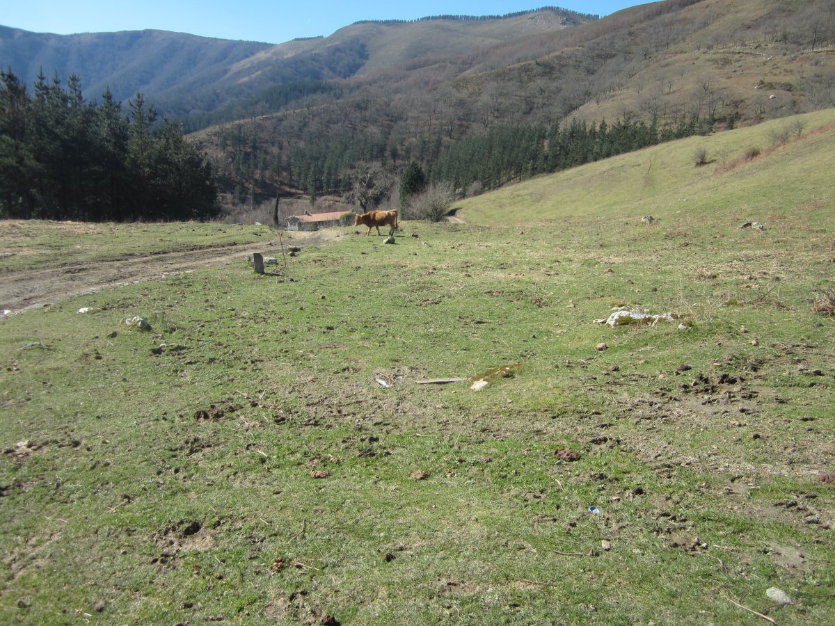Cromlech Añoenea  ( Marzo 2014)