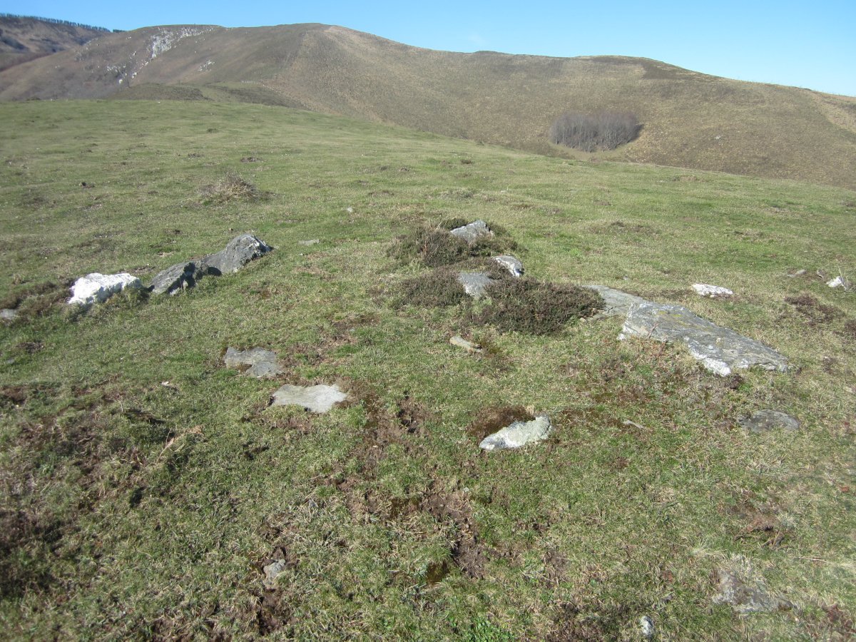 Cromlech Bidagurutzetako Kaxkoa Norte (Marzo 2014)