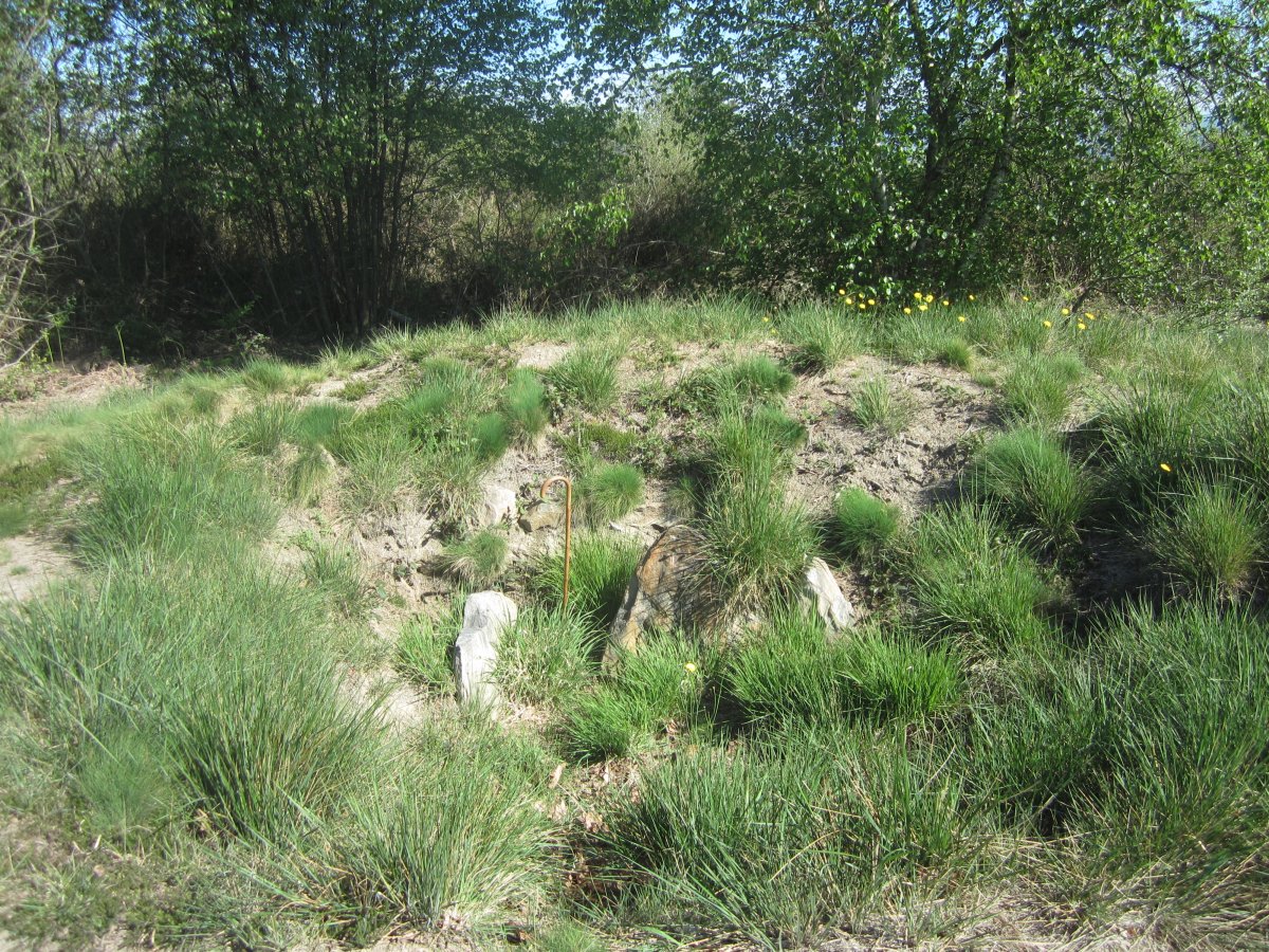 Túmulo Gazteluko Landa   (Abril 2014)