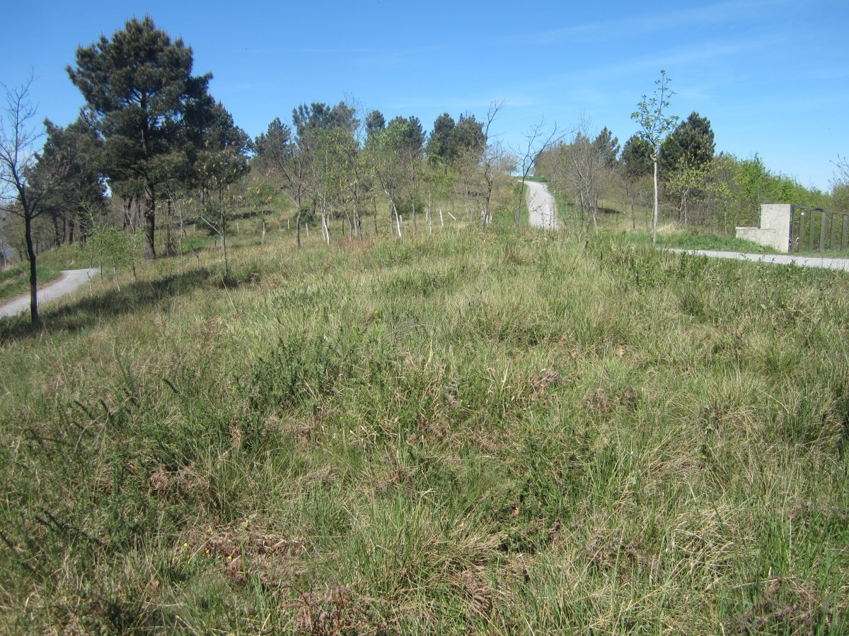 Túmulo Hirumugarrieta 2 (Abril 2014)