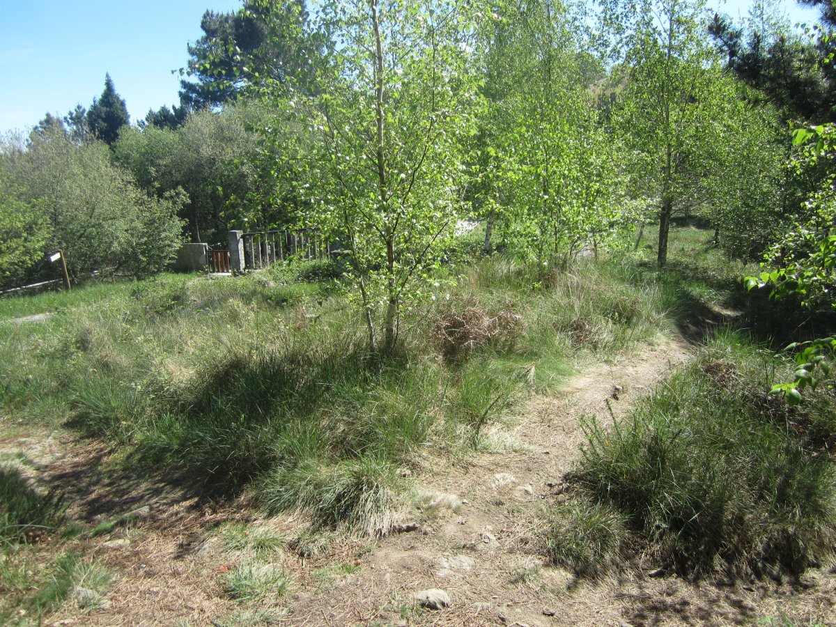 Túmulo Hirumugarrieta 3 (Abril 2014)