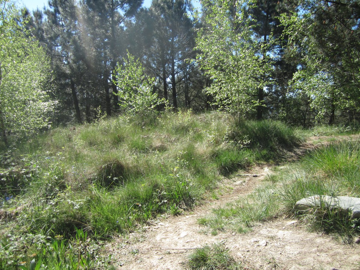 Túmulo Hirumugarrieta 3  (Abril 2014)