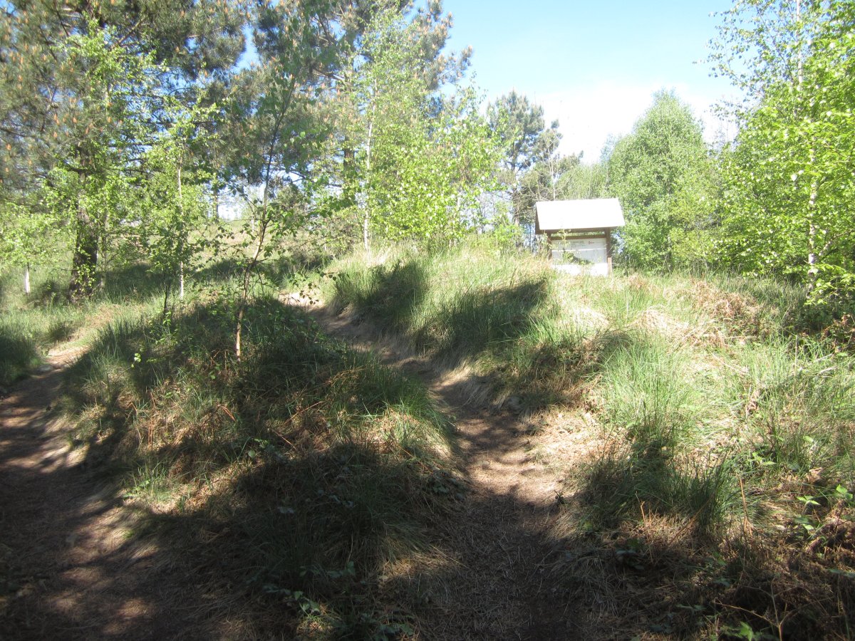 Túmulo Hirumugarrieta 3 (Abril 2014)