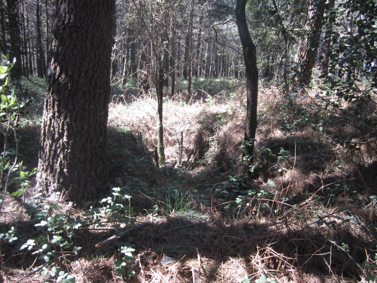 Túmulo Larrazabal (Abril 2014)