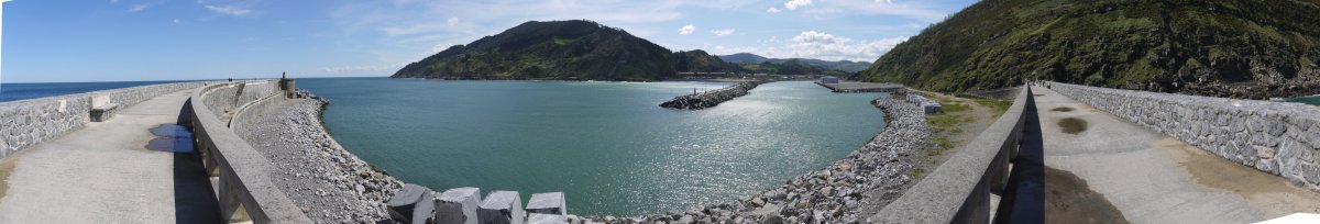 Kanpoko kai-muturra, Orio