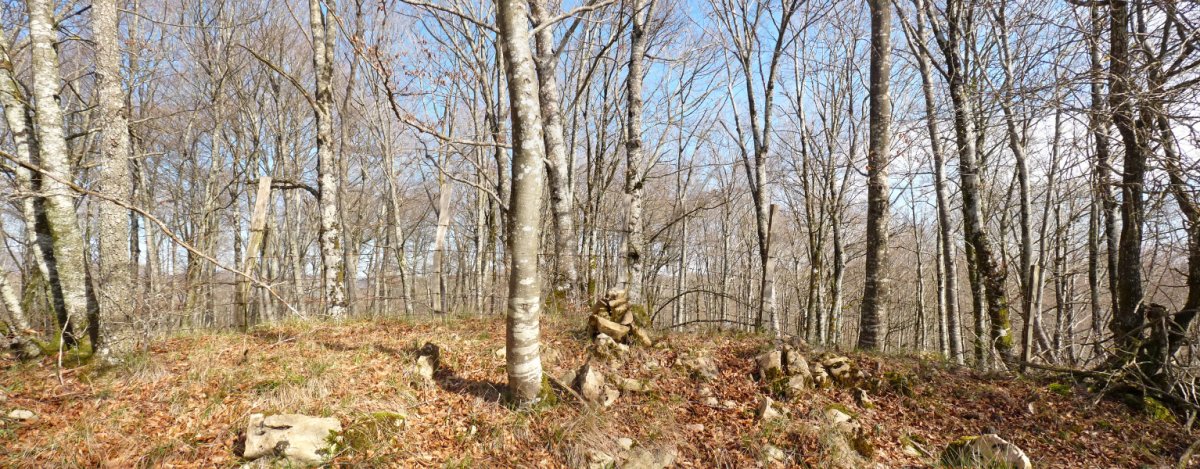 Otsopasajeko gailurra