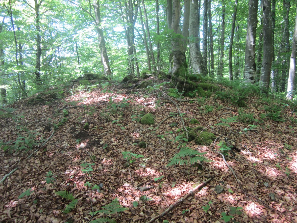 Dólmen Intxuspe 1 Ipar   (Junio 2014)