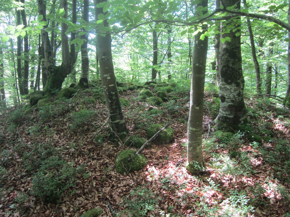 Dólmen Intxuspe 1 Ipar   (Junio 2014)