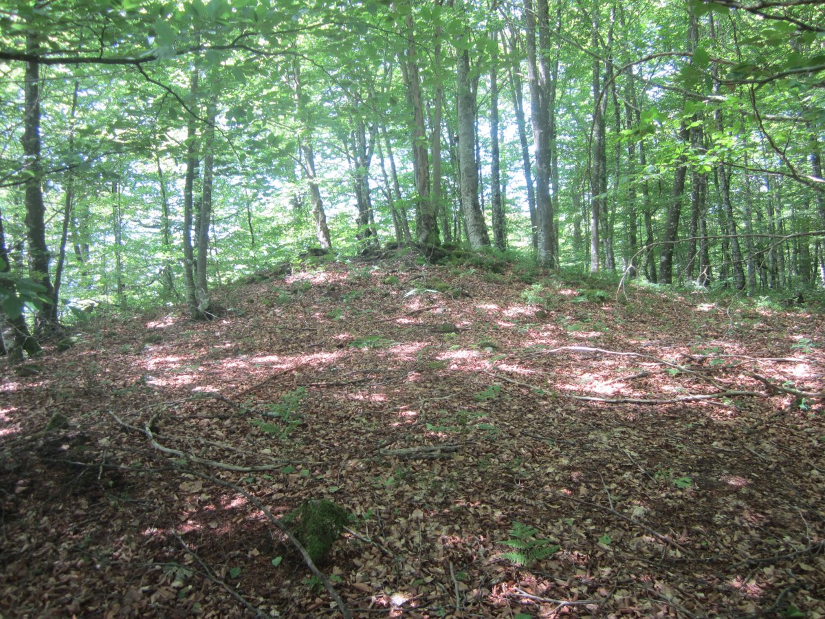 Dólmen Intxuspe 1 Ipar   (Junio 2014)