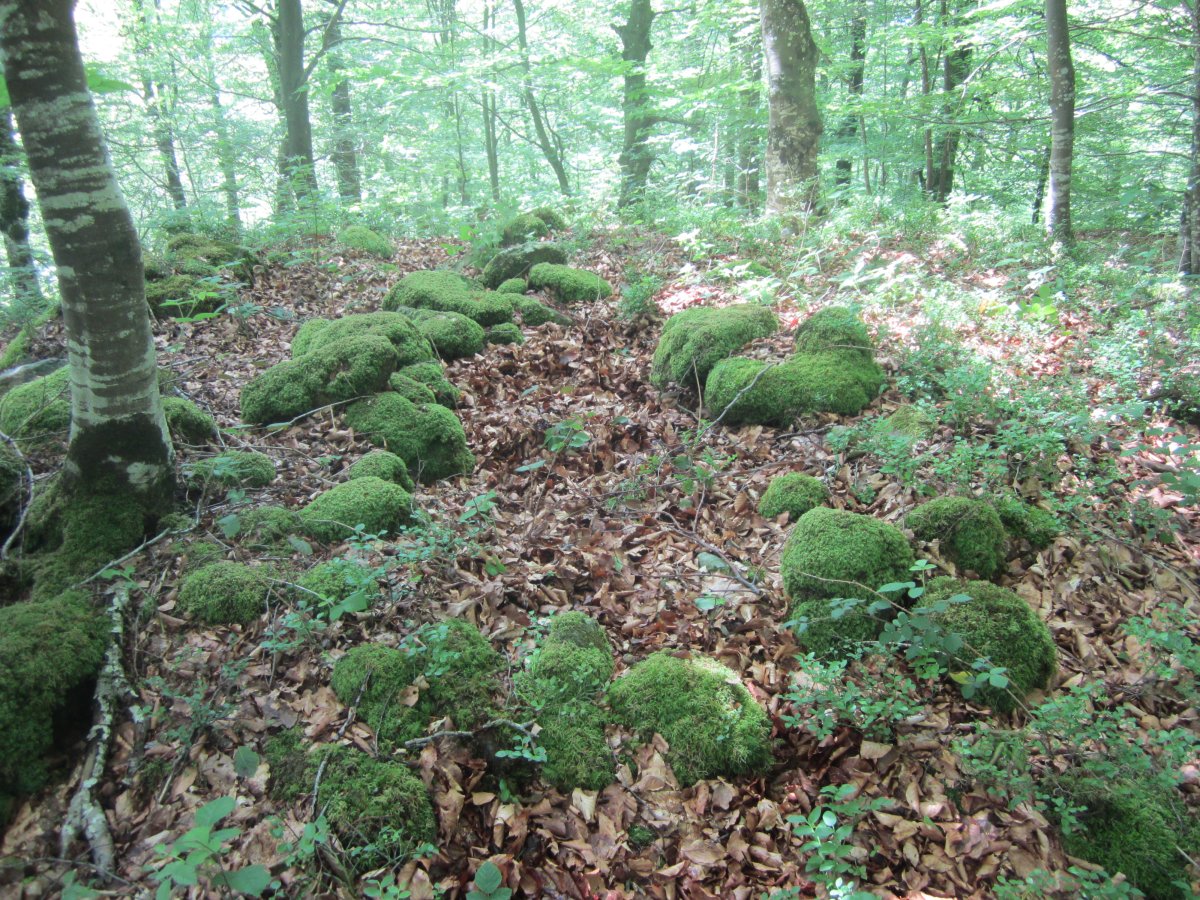 Dólmen Intxuspe 1 Ipar   (Junio  2014)