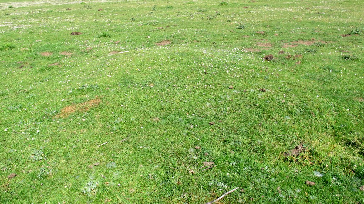 Raso Urbasa tumulua 3, Urbasa