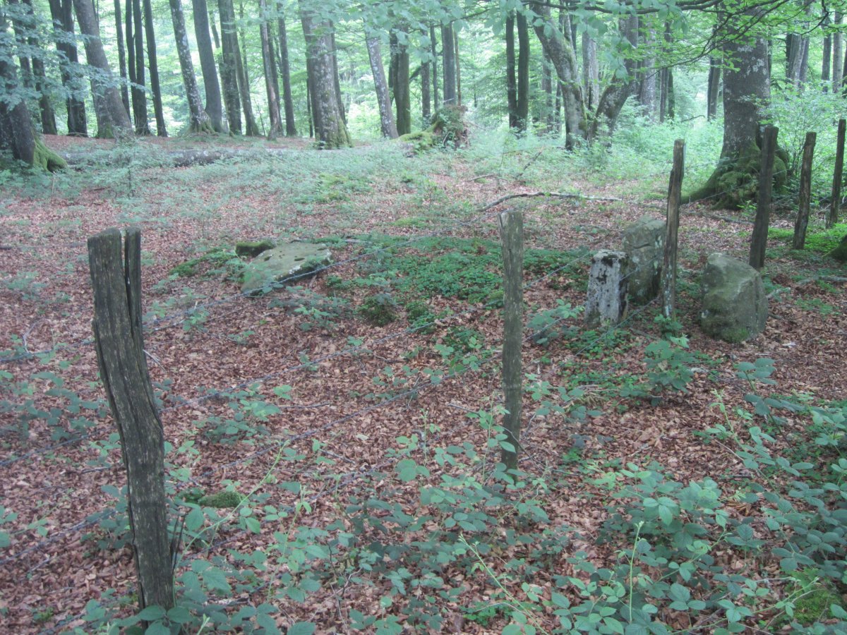 Dómen Muñaan  (Junio 2014)