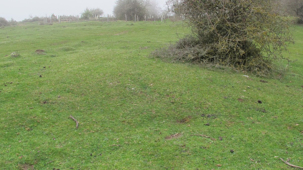 Barrera de Ecala 1 Etxola hondoa, Limitaciones