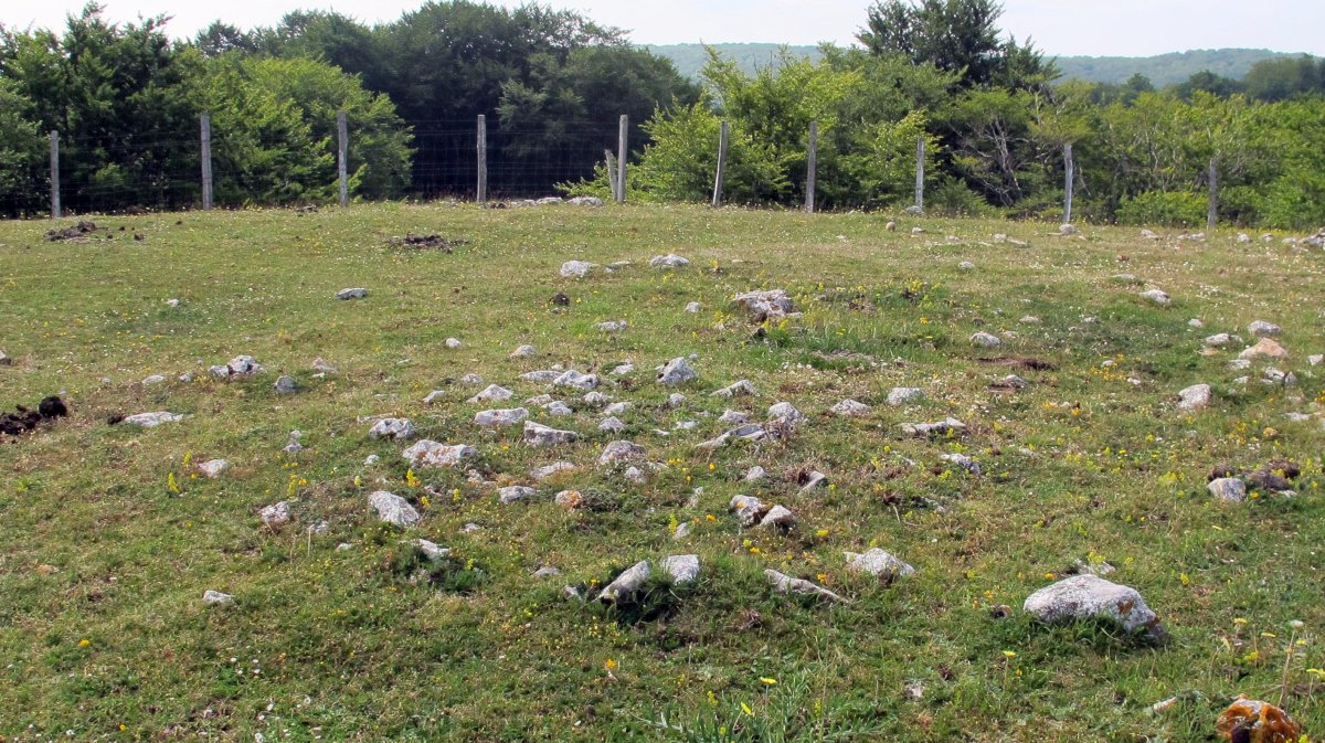 Mendiluze 2 tumulua, Entzia