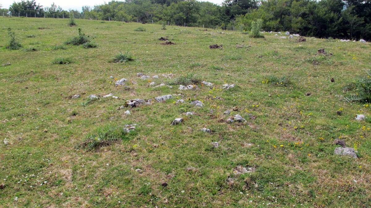 Mendiluze 5 tumulua, Entzia