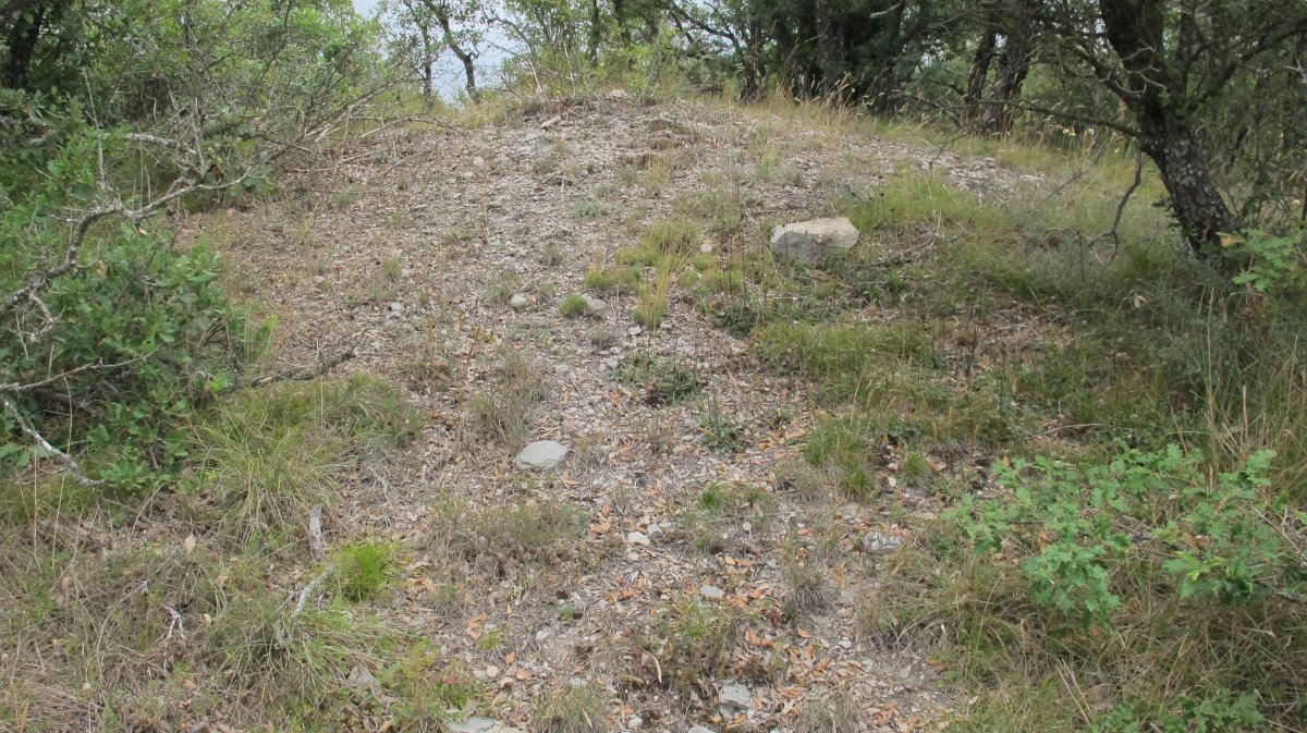 Larras II tumulua 7, Zigoitia